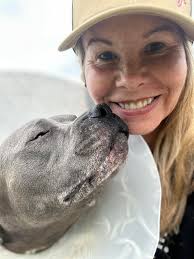 😂😂😂 how my dog sees himself when someone walks past the house: SECRITY  SECRITY TY