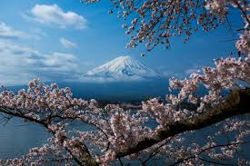 11 Great Places To Visit On Your Way Back From Mt Fuji Tsunagu Japan