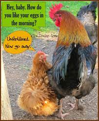 What about you.what kind of eggs do you have.how do you like it? Facebook