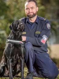 The key to becoming a successful detection dog handler is the ability to bond and work with a dog foremost but further than that the handler must be empathetic. The Real Paw Patrol The Pooches In The Armed Forces Who Keep Us Safe Herald Sun