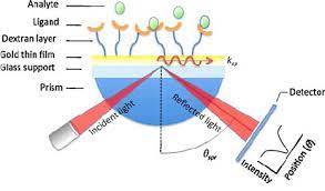 • light is coupled in at the correct angle • the frequency of light matches the natural frequency of the surface. Spr Detection Principle In The Kretschmann Configuration A Beam Of Download Scientific Diagram