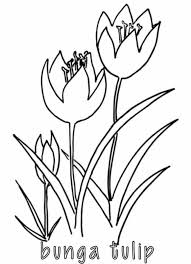 Maybe you would like to learn more about one of these? Mewarnai Bunga Tulip Alamendah S Blog