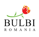 Bulbi Romania - Bulbi Romania