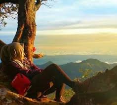 Setibanya di tanah air mereka merasa tidak dihargai seorang pemuda ditarik rambutnya agar. Foto Dari Belakang Keren