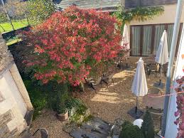 Le vent évoluera à environ 15 km/h. Le Petit Manoir Saint Melaine Sur Aubance