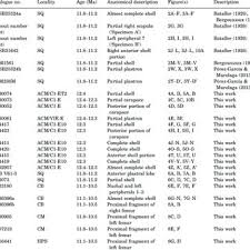 La liga'daki bir sonraki maçlarında önce real madrid. Pdf The Miocene Tortoise Testudo Catalaunica Bataller 1926 And A Revised Phylogeny Of Extinct Species Of Genus Testudo Testudines Testudinidae