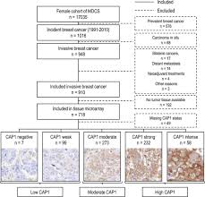 Those who are weak, sick, malnourished, have cancer or are diabetic have increased susceptibility to chronic or persistent infections. Effects Of Tumor Specific Cap1 Expression And Body Constitution On Clinical Outcomes In Patients With Early Breast Cancer Breast Cancer Research Full Text
