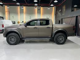 Image result for Brown 2025 Ford
