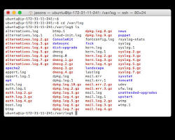 Image of Linux log file /var/log/syslog