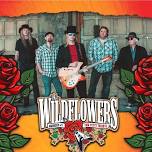 The Mood Kings Live at Saloon Studios Live with The Wildflowers