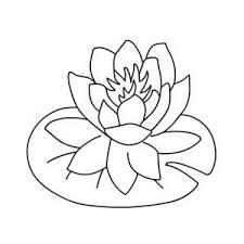 Black And White Lily Clipart Lily Pad Clipart Black And White Google Search Coloring Pages Flower Coloring Pages Lily Pad Drawing