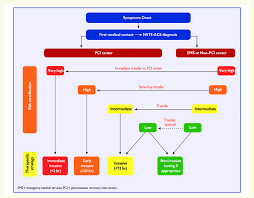 Acc aha nste acs guidelines simplified by nik nikam md please subscribe to this nnn channel by clicking the subscribe button. Selection Of Non St Elevation Acute Coronary Syndrome Nste Acs Download Scientific Diagram