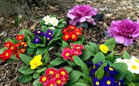 Want to explore south africa beyond the spring flowers? Special Categories Archives Page 426 Of 1068 Boksburg Advertiser