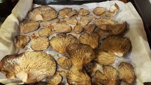 Disponete i funghi su una teglia unta di olio o coperta con la carta da forbo e poi cuoceteli il forno per una ventina di minuti a 180°c, il tempo. Funghi Pleurotus Cotti Al Forno Leggeri E Veloci Da Preparare