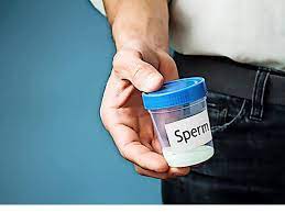 Spermien So Lasst Sich Die Qualitat Steigern
