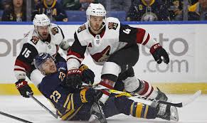 Although he spent the majority of his time on the icehogs, he earned a regular spot on the chicago blackhawks. Coyotes Niklas Hjalmarsson Agree On Contract Extension