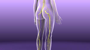 Peripheral Neuropathy | Brain Institute | OHSU