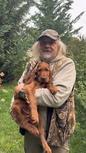 Image result for irský setr