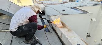 גופת לווייתן נפלטה אל חוף ניצנים. ××¨××¢××ª ×'××××× ×××ª ×× ××¤×ª ×©××× × 31 ×§×'×× × ××××× ×××××¦××