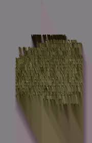 Image result for Polygala melilotoides