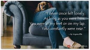 Check spelling or type a new query. Top 10 Loss Of Dog Poems Love Lives On