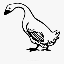 We have collected 38+ goose coloring page images of various designs for you to color. Goose Coloring Page Charlotte S Web Clipart Png Free Transparent Clipart Clipartkey