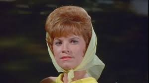 Flipper: Season 1, Episode 27