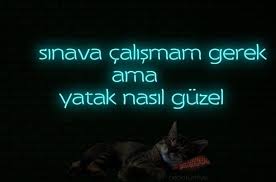 Zeynep921 Adli Kullanicinin Fundamentals Panosundaki Pin Resimli Alintilar Komik Bff Sozleri