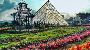 √ Taman Bunga Celosia: Review, Lokasi, Tiket Masuk 2022