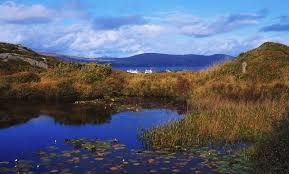 The island is approximately 60% fertile with this area south facing with a small sheltered cove to the east of the island. West Cork Island 1st Private Island Bought With Crowdfunding