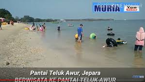 Pantai ini ditandai oleh banyaknya pohon mangrove yang berfungsi sebagai peneduh selain sebagai penahan abrasi. Yuk Kunjungi Pantai Teluk Awur Jepara Bertambah Nyaman Untuk Pengunjung Kabar Seputar Muria