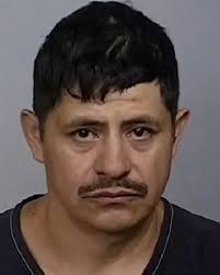 Nearly 50 new Manatee County Jail arrest mugshots