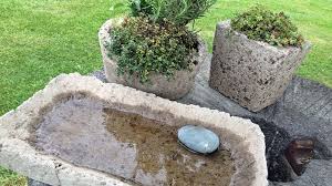 Blumentopfe Aus Zement Selber Herstellen Blumentopf Design Blumen Im Blumentopf Topfblumen