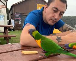 Wayne Cassell pleads guilty to 11 charges after blackmailing teens for sex 