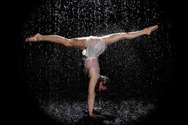 Lynn Sabin Lunny (@lylunny) • Instagram photos and videos