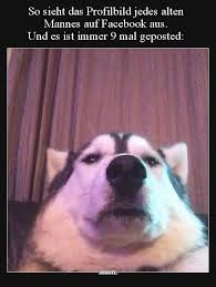 Liebe memes dumme memes meme vorlage meme bilder süße memes meme gesichter profilbild ideen rhetorik. Profilbild Lustig