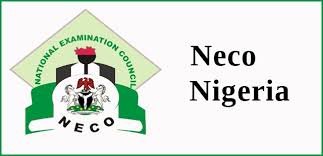 In this article we shall show you how you can check your neco results with out any problem. Neco Result 2020 Is Out How To Check Your Neco Result 2020 2021