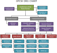 Opcw Org Chart