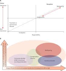 Image result for Factitious Disorder