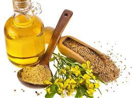 à¤¸à¤°à¤¸à¥à¤ à¤à¥ à¤¤à¥à¤² à¤à¥ à¤à¤ªà¤¯à¥à¤ à¤à¤° à¤²à¤à¤¾à¤¨à¥ à¤à¥ à¤«à¤¾à¤¯à¤¦à¥ - mustard oil benefits in hindi - à¤¦à¤¾ à¤à¤à¤¡à¤¿à¤¯à¤¨ à¤µà¤¾à¤¯à¤°