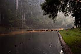 Maybe you would like to learn more about one of these? Pemberton Swimming Pool Photo Sheila Photos At Pbase Com