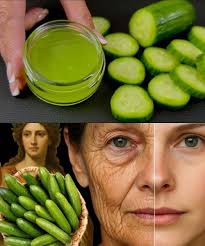 Cucumber as natural anti-aging formula