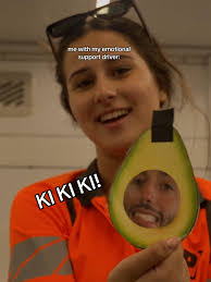 Exploring Women in Motorsport: The F1 Academy Experience