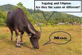 » synonyms and related words: Tagalog And Filipino Are They The Same Or Different