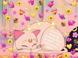 Stxney Cute Love Memes Love You Meme Love Memes