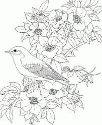 Popular halloween coloring pages, thanksgiving pages to color and fun christmas coloring pages too! Birds And Flowers Coloring Pages Coloring Home