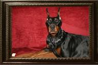 Czukiewski Daring Doberman