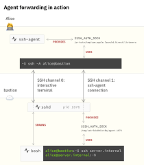 List of ssh clients that allows establishing a secure and authenticated ssh connections to ssh winscp is a free open source windows client for file transfers. Ssh Agent Explained