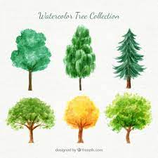 Watercolor Variety Of Trees Pack Free Vector Free Vector Freepik Vector Freewatercolor Freetree Watercolor Trees Tree Watercolor Painting Watercolor Tree