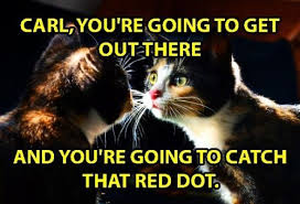 Funny Cat Meme Magnet Red Dot Pep Talk Free Shipping Funnycats Peptalk Funnymemes Cutecats Catlovers Cat Quotes Funny Funny Cat Memes Cat Memes